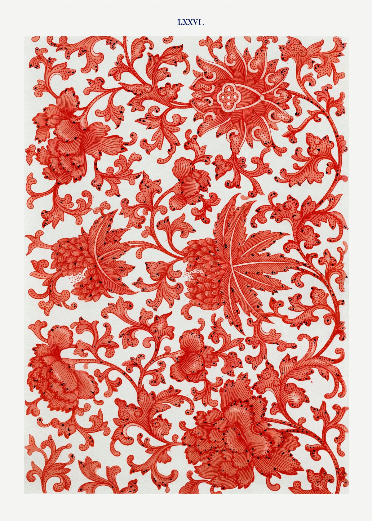 Coral Pattern
