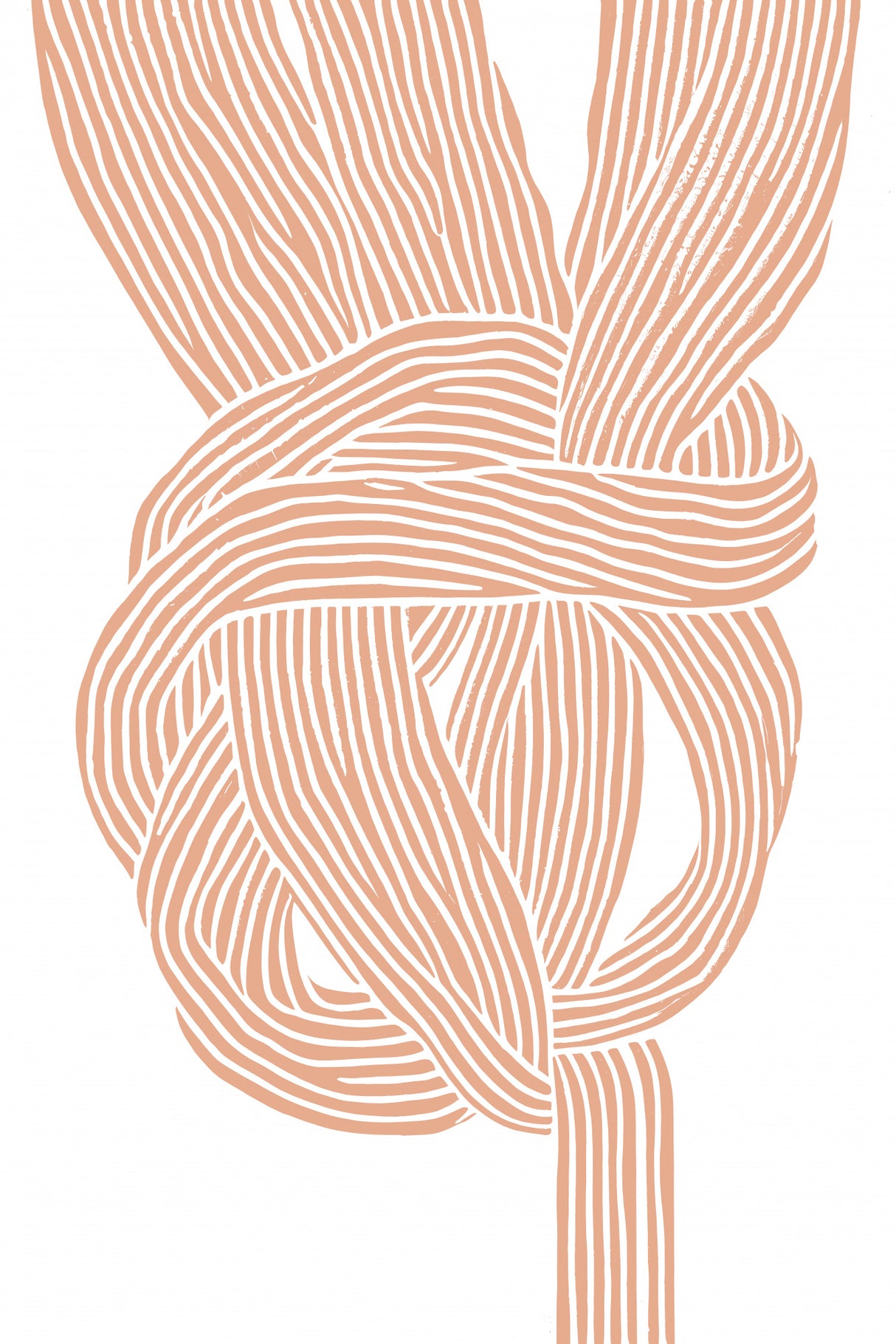 Knots No 2 Poster och Canvastavla