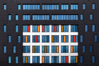Colours in black Poster och Canvastavla
