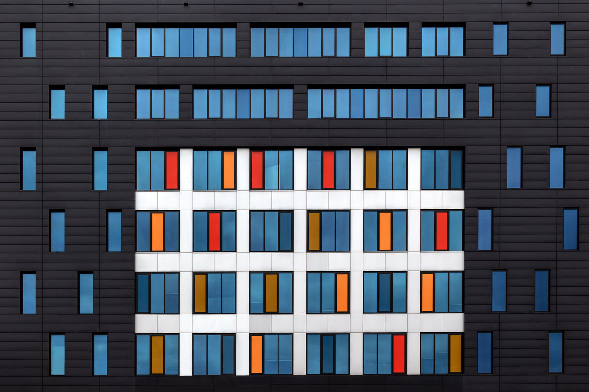 Colours in black Poster och Canvastavla