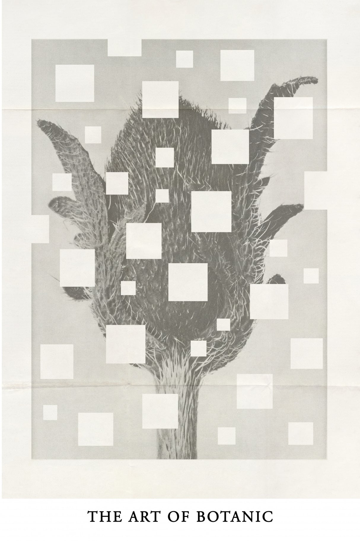 The art of botanic No.3 Poster och Canvastavla