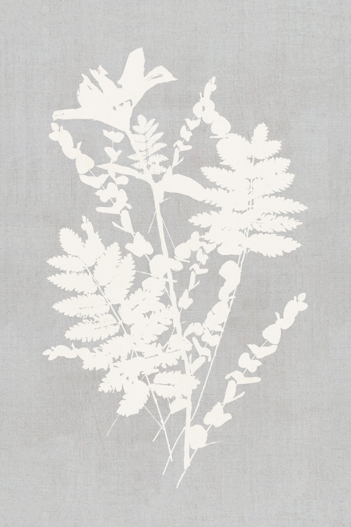 Botanical Illustration 5 Poster och Canvastavla