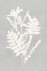 Botanical Illustration 5 Poster och Canvastavla