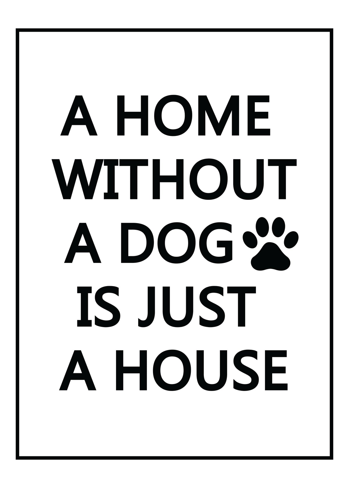 Dog White