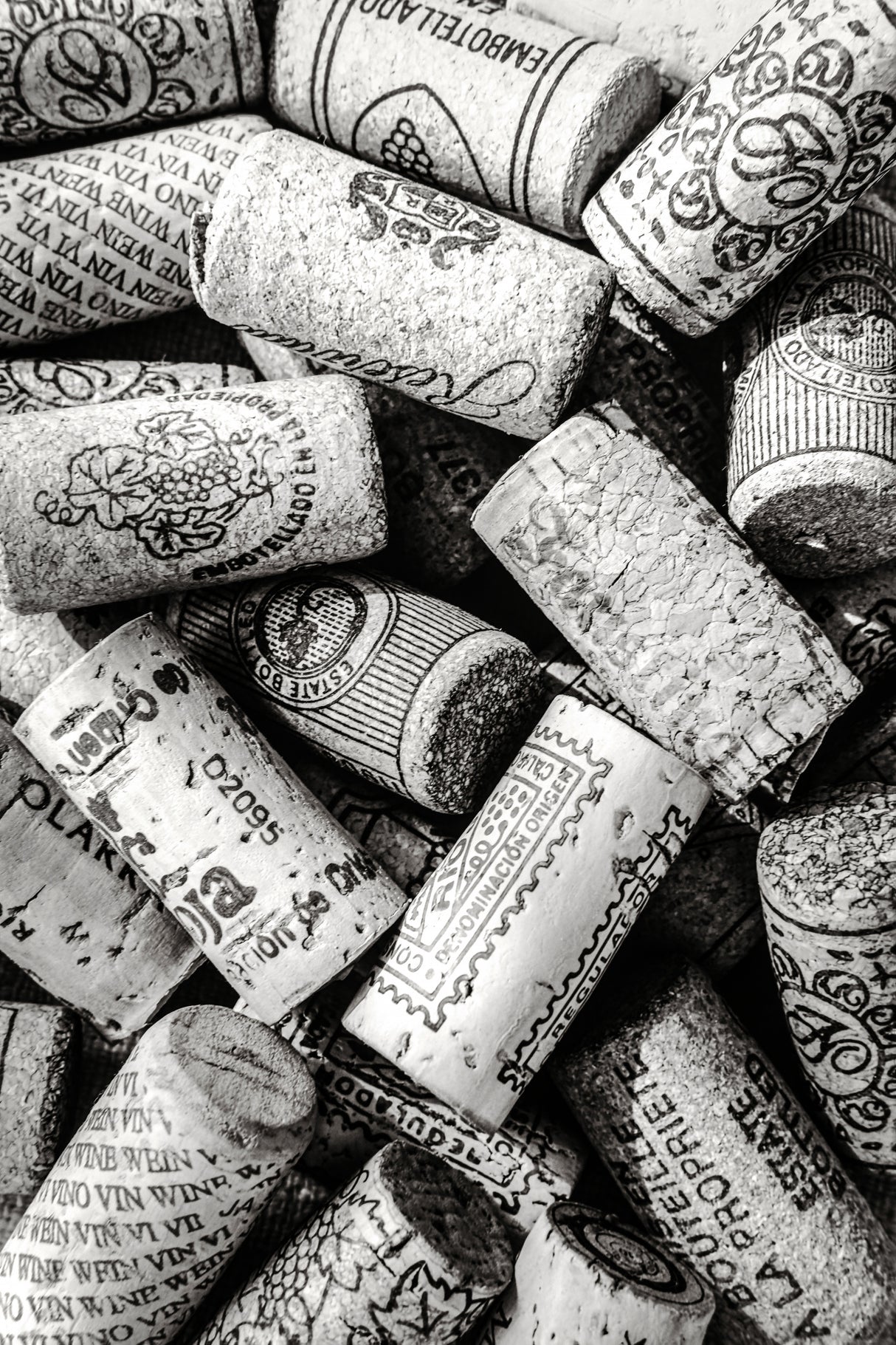 Wine 001 Bw Poster och Canvastavla