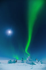 Moon light Poster och Canvastavla