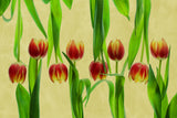 tulips Poster och Canvastavla