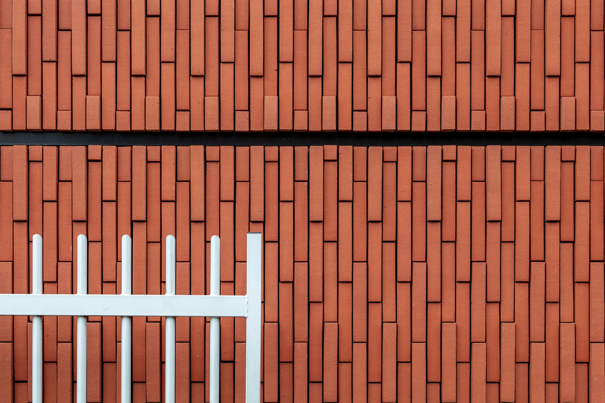 The fence Poster och Canvastavla