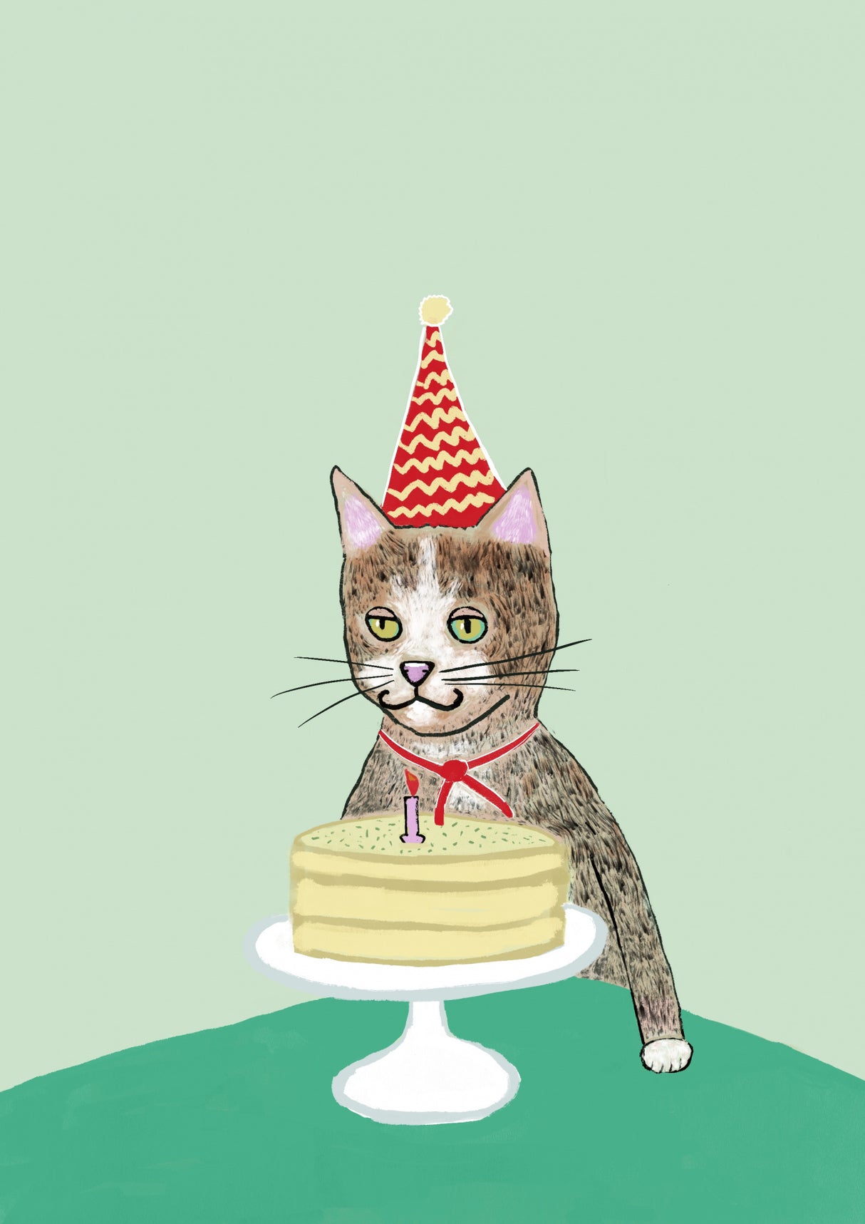 Birthday cat Poster och Canvastavla