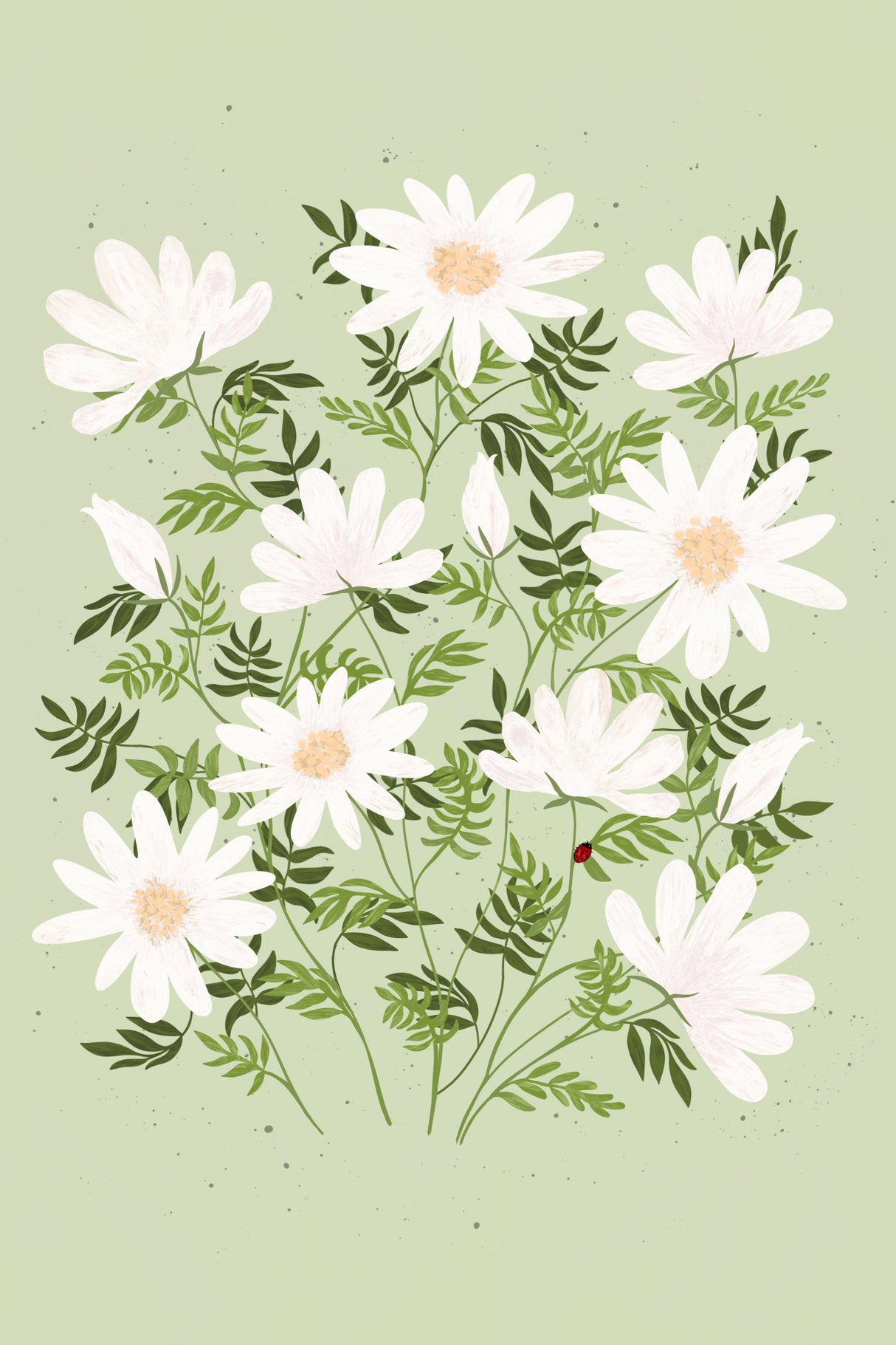 Daisies Poster och Canvastavla