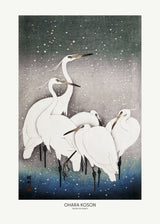 Group Of Egrets Poster och Canvastavla