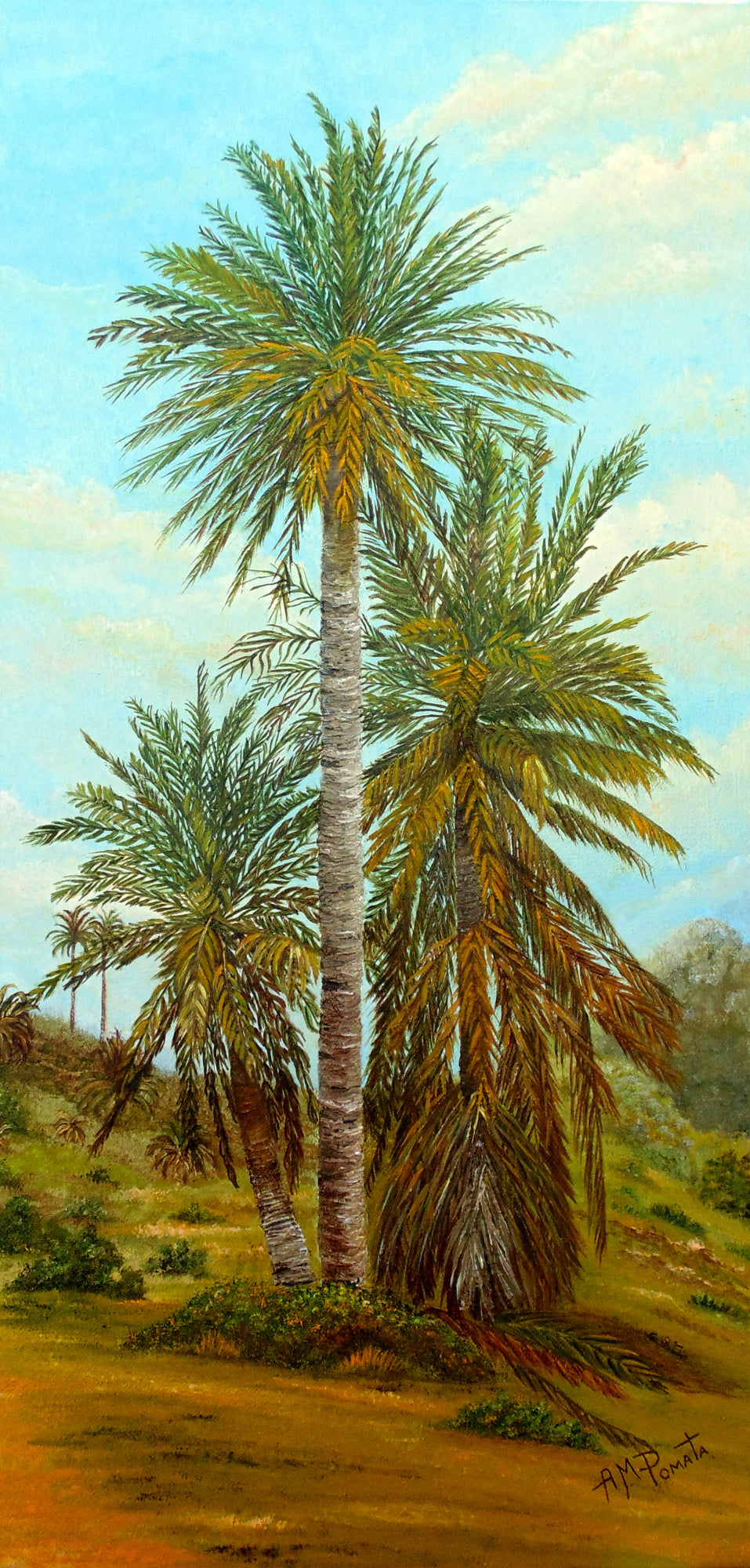 Palm Trees Poster och Canvastavla