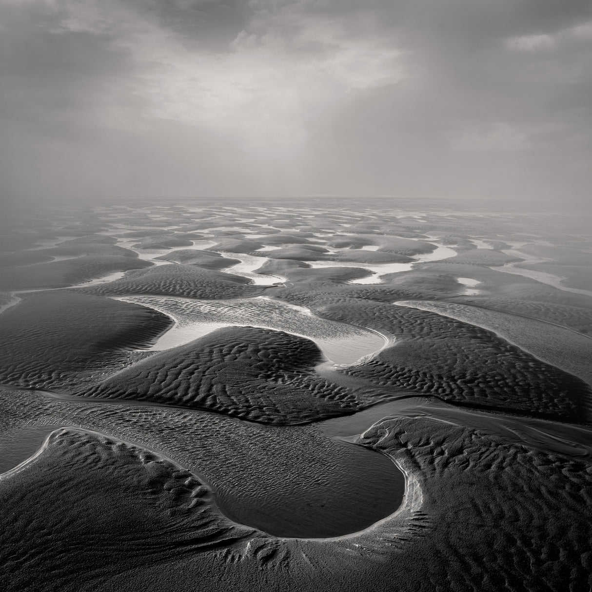 Sandwind / Vent de Sable Poster och Canvastavla
