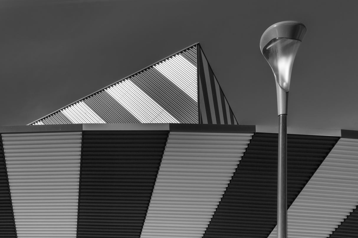 The lantern against black and white Poster och Canvastavla