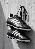 Hanging Soccer Cleats Poster