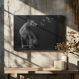 Bubbles Poster och Canvastavla