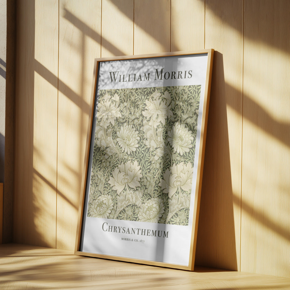 Chrysanthemum Poster och Canvastavla
