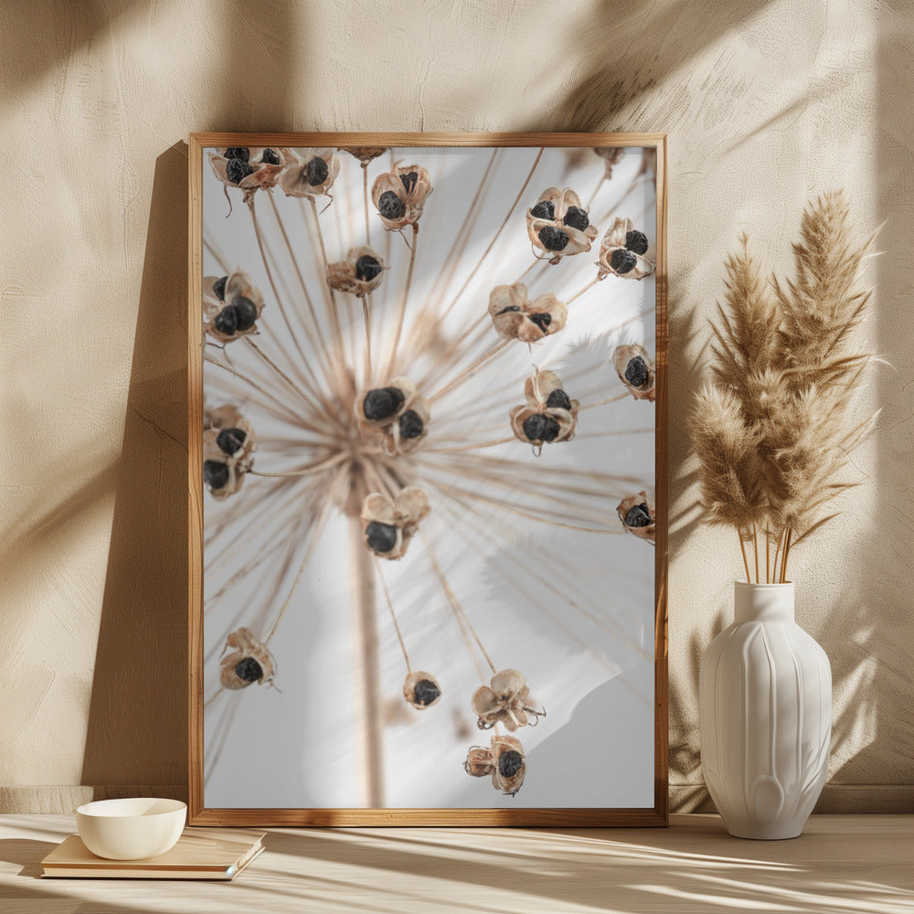 Dried_007 Poster och Canvastavla