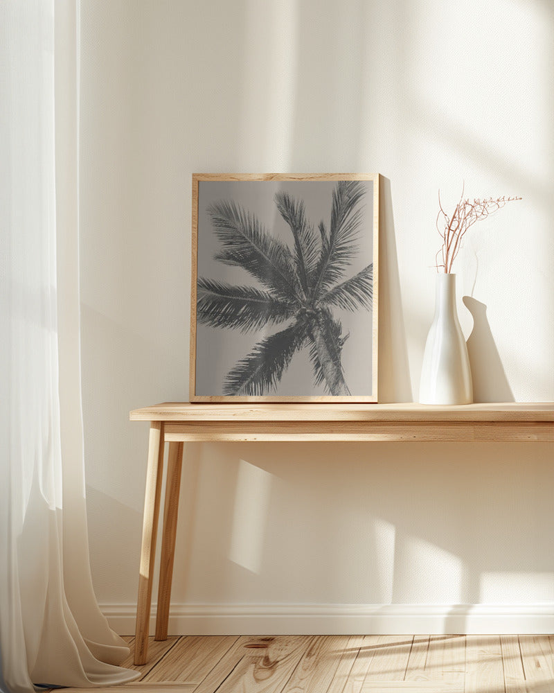Palm Tree Poster och Canvastavla