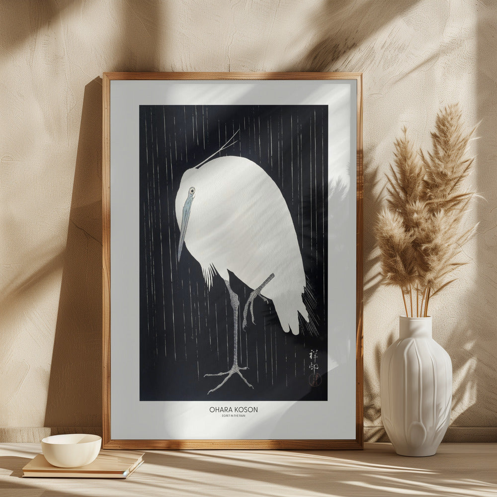 Egret In The Rain Poster och Canvastavla