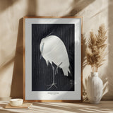 Egret In The Rain Poster och Canvastavla
