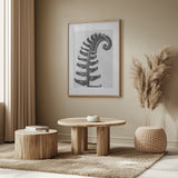 Polystichum Munitum Poster och Canvastavla