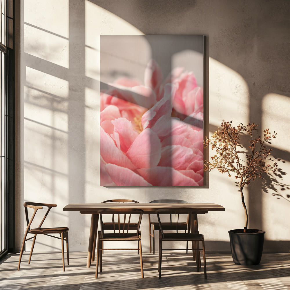 Peony 4 Poster och Canvastavla