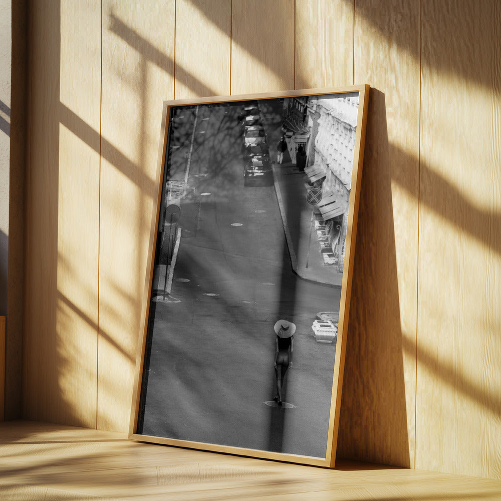 Freedom  to  Express Poster och Canvastavla