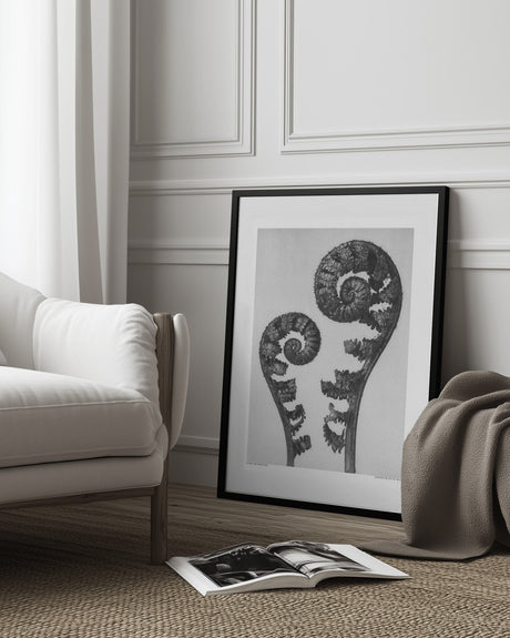 Aspidium Filix Mas Poster och Canvastavla