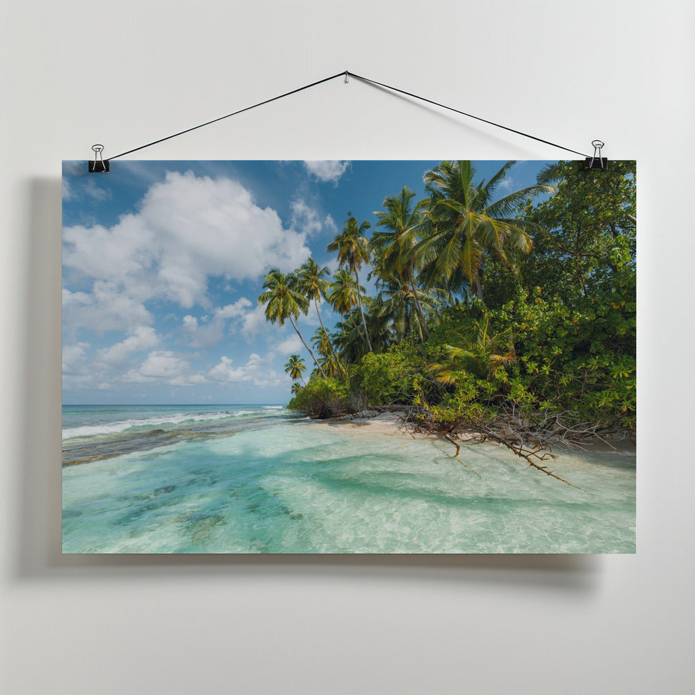Turquoise Bay Poster och Canvastavla