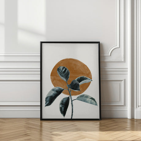 Sun and Ficus Poster och Canvastavla