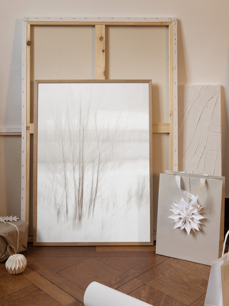 Winter White Poster och Canvastavla
