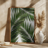 Palm Leaf III Poster och Canvastavla
