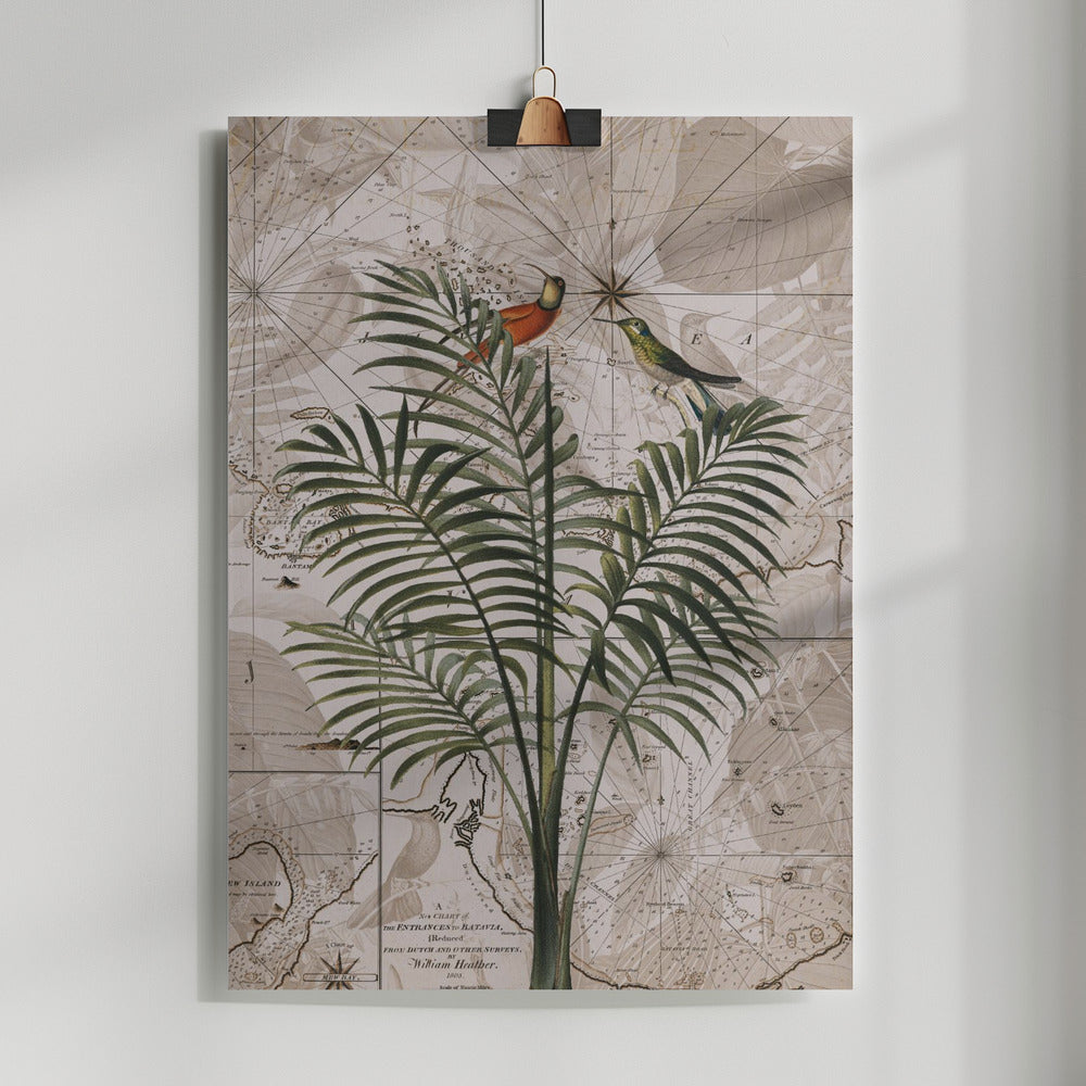 Indonesia Jungle Paradise No4 Poster och Canvastavla