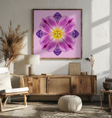 my secret garden (tulips) Poster och Canvastavla