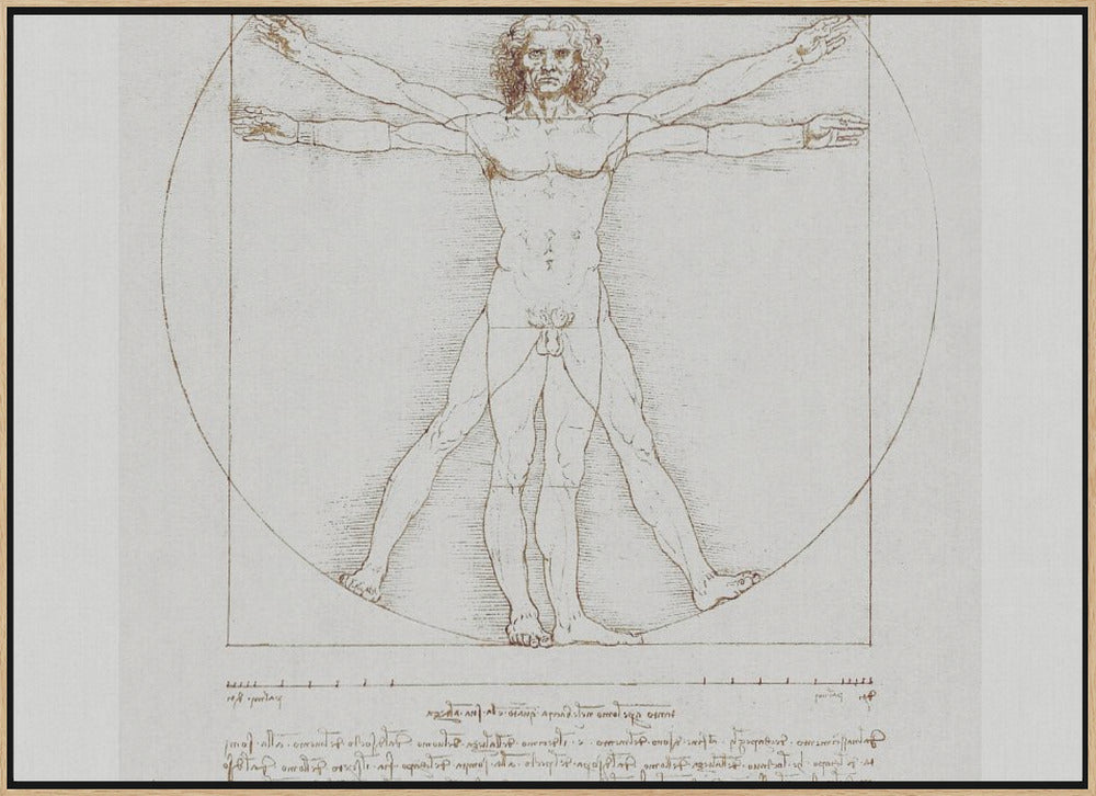 Vitruvian Man Signature Poster och Canvastavla
