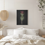Protea Poster och Canvastavla