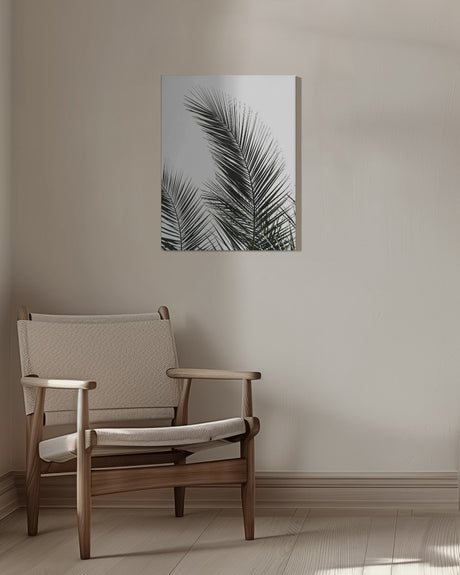 Palm Leaves 1 Poster och Canvastavla