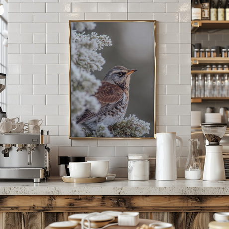 Fieldfare in a winter setting Poster och Canvastavla
