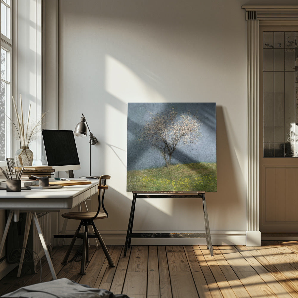 Almond tree Poster och Canvastavla
