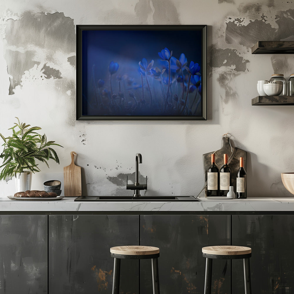Out of the blue Poster och Canvastavla