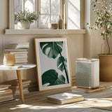 Monstera Natural 37 Poster och Canvastavla