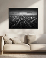 After the storm Poster och Canvastavla