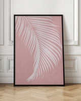 Palm Leaves On Pink Silhouette I Poster och Canvastavla