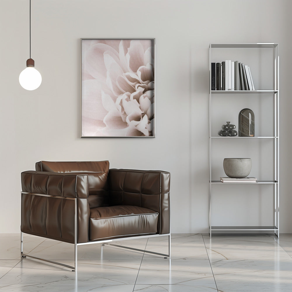 Chrysanthemum No 02 Poster och Canvastavla
