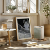 Look Poster och Canvastavla