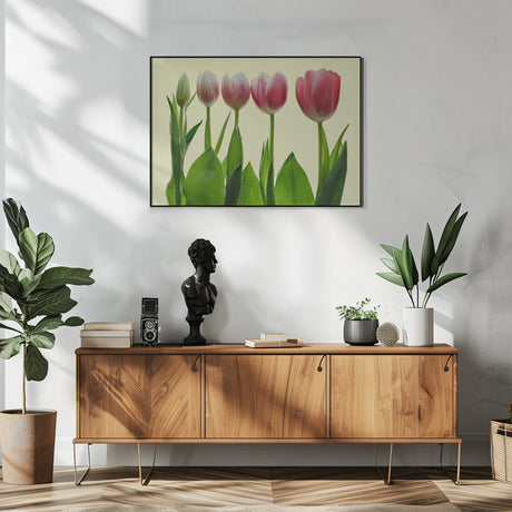 color growing Poster och Canvastavla