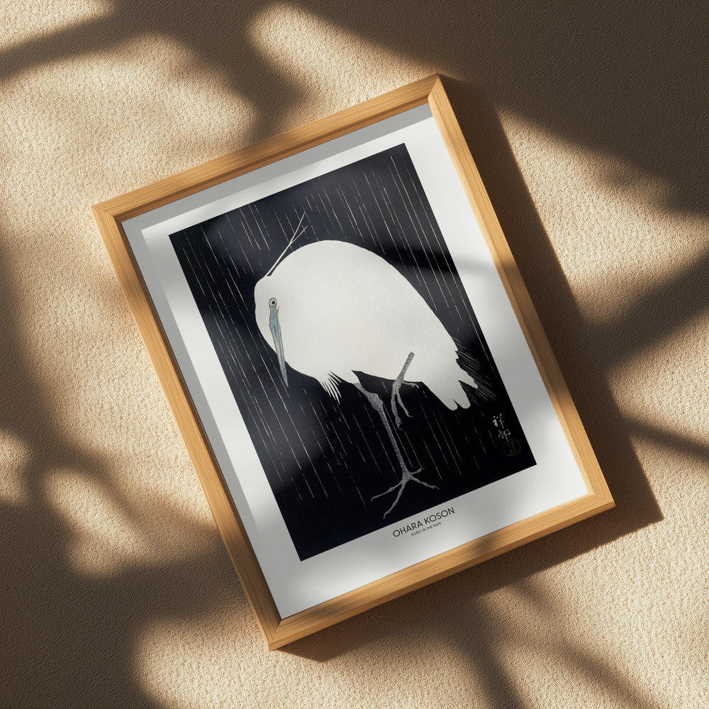 Egret In The Rain Poster och Canvastavla