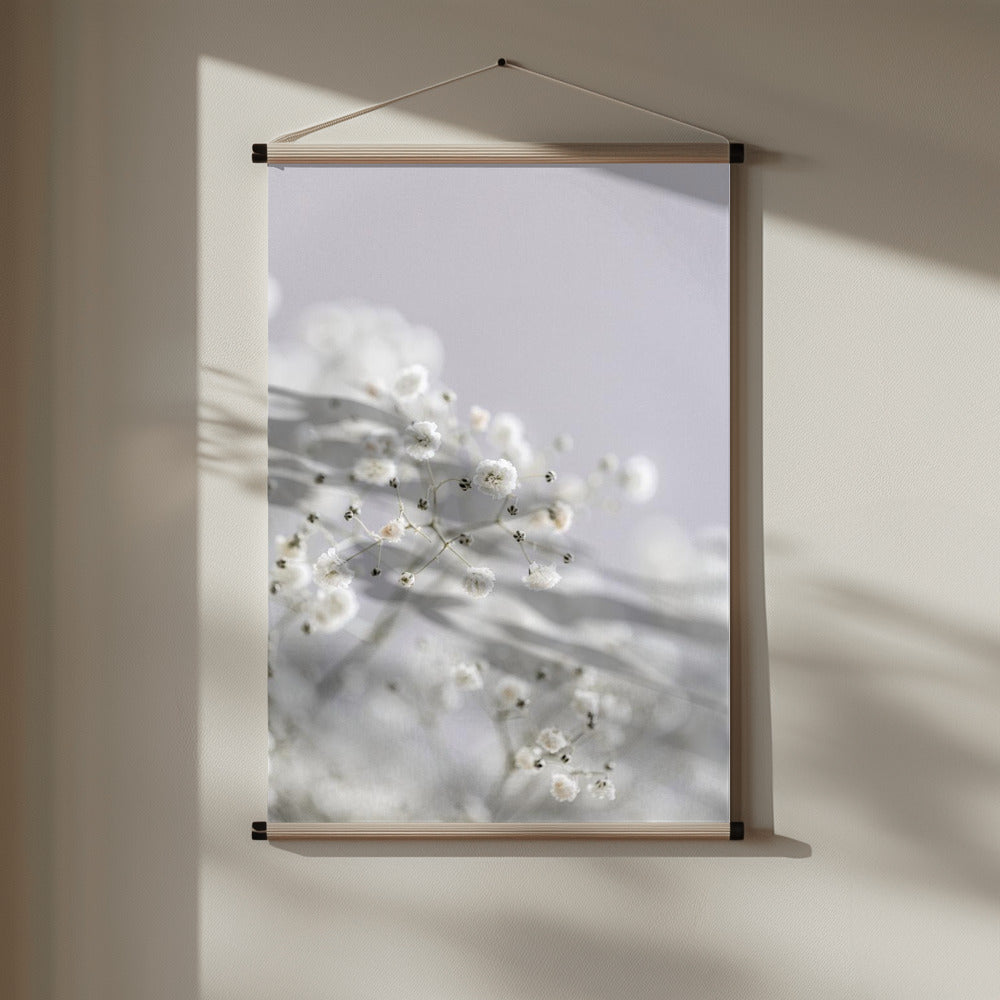 Babys Breath Poster och Canvastavla