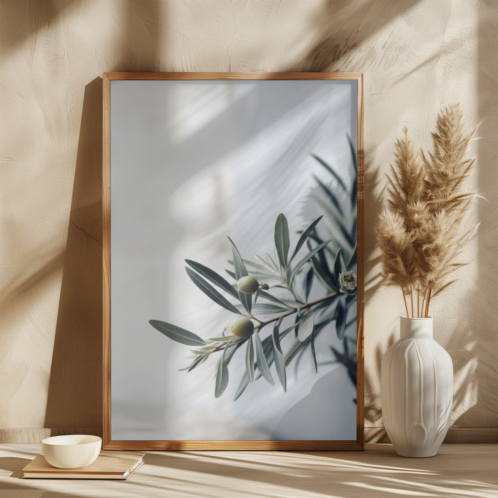 Olives Poster och Canvastavla